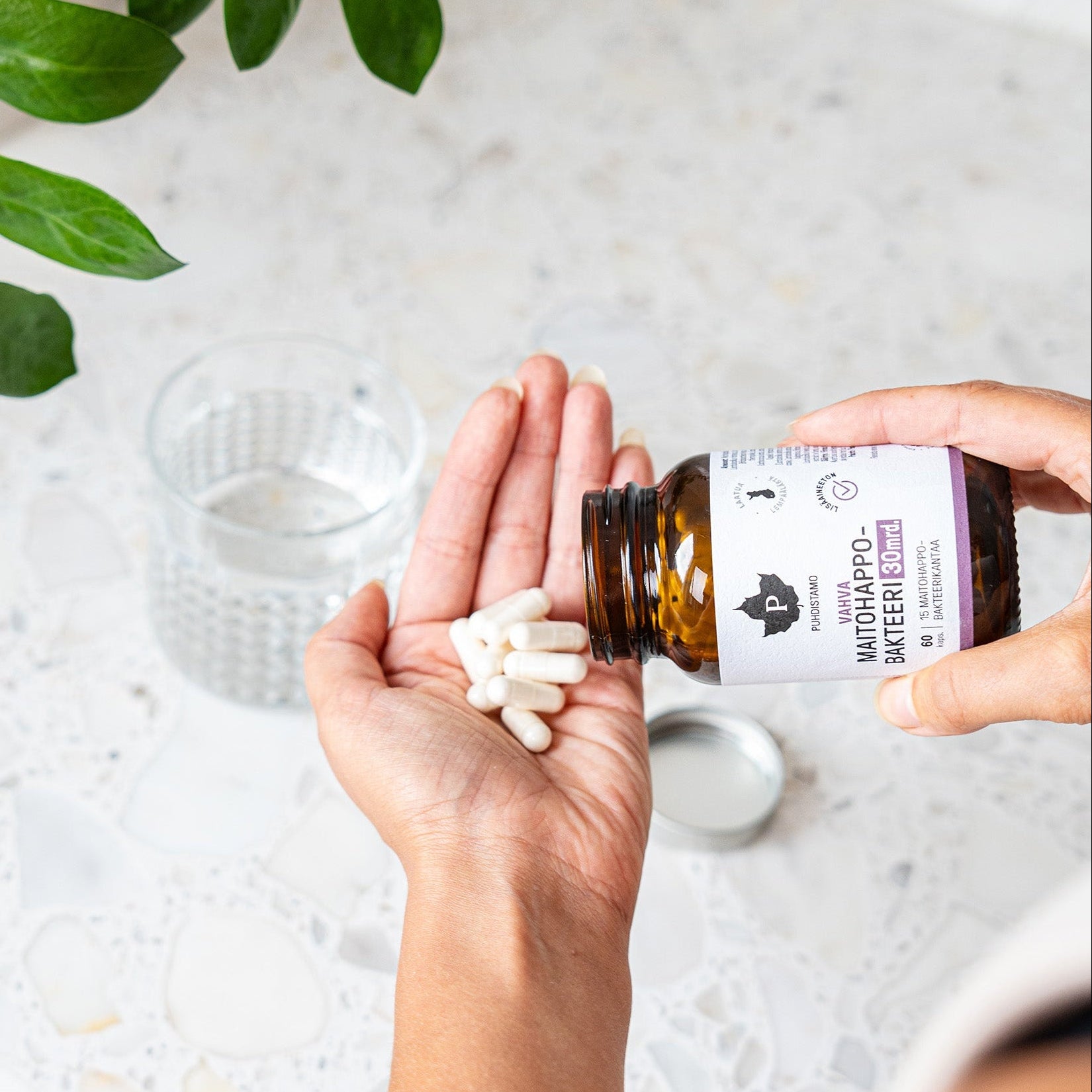 Stiprios pieno rūgšties bakterijos, 30 mlrd. 60 kapsulių